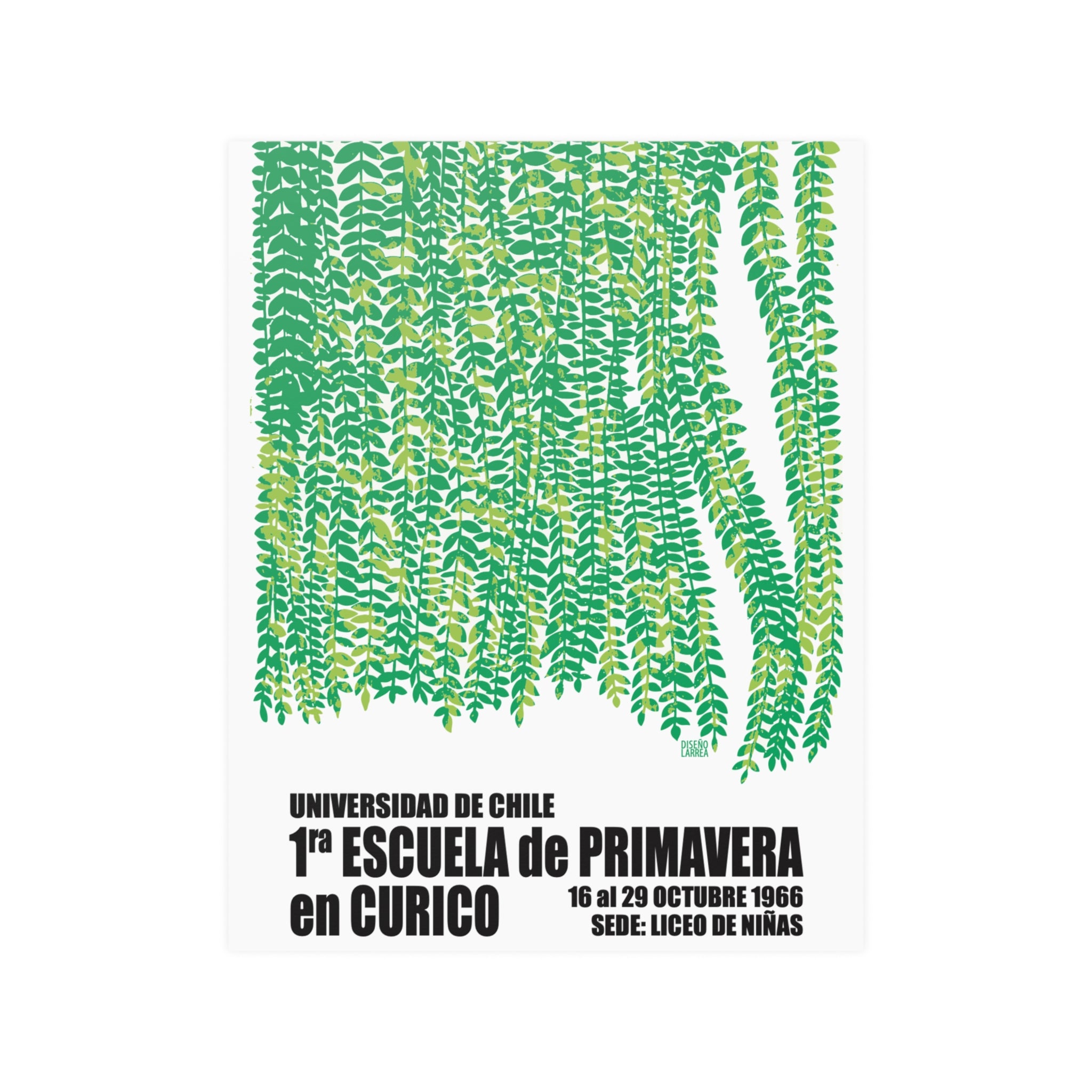 Poster "1ª Escuela de Primavera en Curicó"